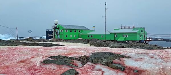 Украинскую антарктическую станцию покрыл кровавый снег Украинскую антарктическую станцию покрыл кровавый снег - Sputnik Lietuva