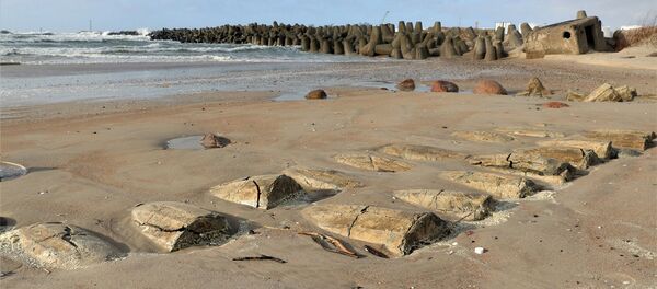 Betoninės statinės, panaudotos Klaipėdos krantui sutvirtinti Betoninės statinės, panaudotos Klaipėdos krantui sutvirtinti - Sputnik Lietuva