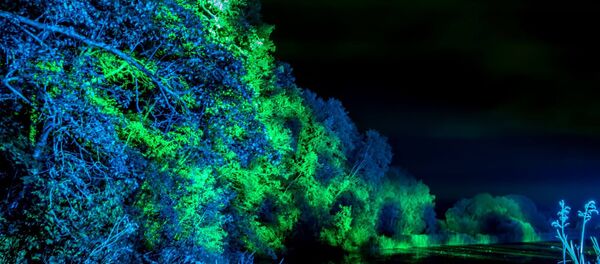 Beepositive 2016 | Into the woods - Sputnik Литва