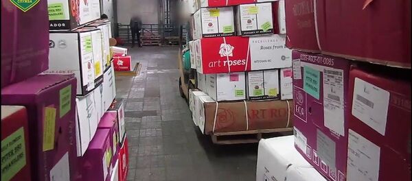 Iš Lietuvos į Baltarusiją įvežta 100 000 kontrabandinių rožių Iš Lietuvos į Baltarusiją įvežta 100 000 kontrabandinių rožių - Sputnik Lietuva