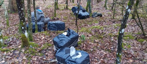 Baltarusijos ir Lietuvos pasieniečiams teko šaudyti, kad sulaikytų kontrabandininką Baltarusijos ir Lietuvos pasieniečiams teko šaudyti, kad sulaikytų kontrabandininką - Sputnik Lietuva