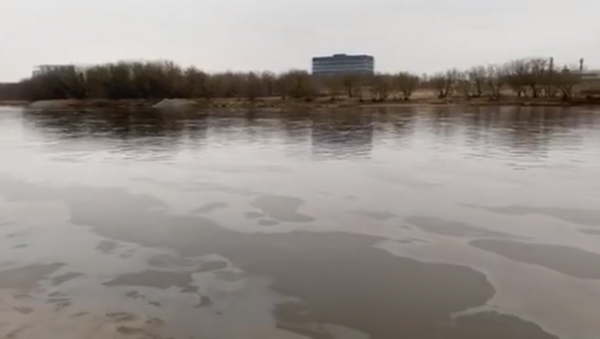 Вторая по величине река Литвы оказалась загрязнена нефтепродуктами - Sputnik Литва