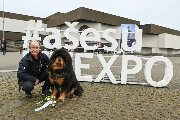 Международная выставка собак и кошек Litexpo в Вильнюсе Международная выставка собак и кошек Litexpo в Вильнюсе - Sputnik Lietuva