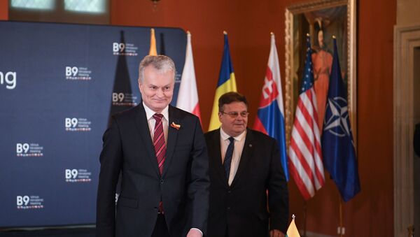 Президент Литвы Гитанас Науседа и глава МИД Линас Линкявичюс на встрече Бухарестской девятки, 10 марта 2020 - Sputnik Lietuva