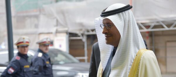 Заседание ОПЕК в Вене Заседание ОПЕК в Вене - Sputnik Lietuva