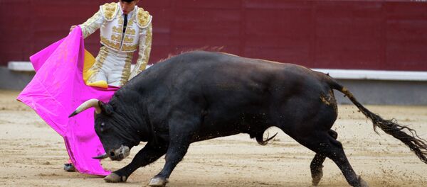 Коррида в Испании Коррида в Испании - Sputnik Литва