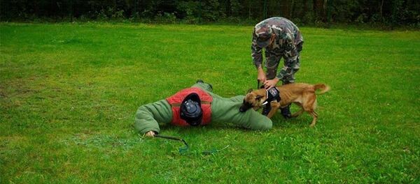 Оборудование для дрессировки служебных собак пограничников - Sputnik Литва