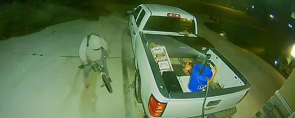 Водяной отпугиватель воров показали в действии - Sputnik Lietuva