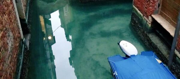 Dėl karantino vanduo Venecijos kanaluose tapo švarus Dėl karantino vanduo Venecijos kanaluose tapo švarus - Sputnik Lietuva