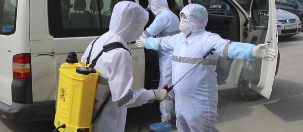 Globalizmo pabaiga: dėl koronaviruso pandemijos uždaromos valstybinės sienos Globalizmo pabaiga: dėl koronaviruso pandemijos uždaromos valstybinės sienos - Sputnik Lietuva