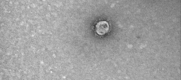 Снимок коронавируса COVID-19, опубликованный Роспотребнадзором - Sputnik Lietuva