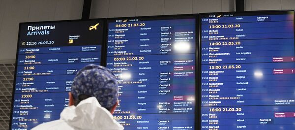 Прилет российских туристов из Черногории в Москву - Sputnik Литва