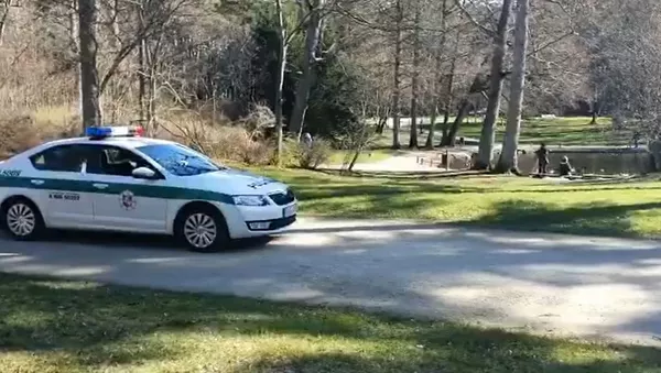 Lietuvos policija priminė, ko nereikėtų daryti gatvėje karantino metu  - Sputnik Lietuva