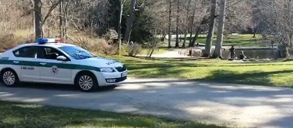 Lietuvos policija priminė, ko nereikėtų daryti gatvėje karantino metu Lietuvos policija priminė, ko nereikėtų daryti gatvėje karantino metu - Sputnik Lietuva