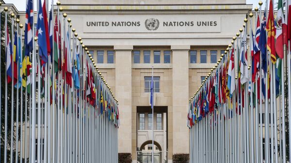 Vėliavų alėja prie JT pastato Ženevoje. - Sputnik Lietuva