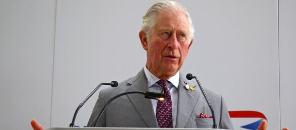 Принц Чарльз, архивное фото Принц Чарльз, архивное фото - Sputnik Lietuva