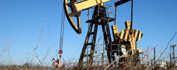 Нефтяной станок-качалка - Sputnik Литва