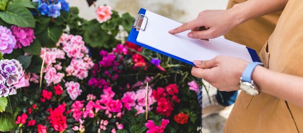 Цветы в горшках, архивное фото - Sputnik Литва