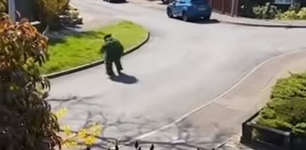 Britas užsimaskavo kaip krūmas, kad pažeistų karantiną — video Britas užsimaskavo kaip krūmas, kad pažeistų karantiną — video - Sputnik Lietuva