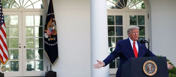 Президент США Дональд Трамп во время ежедневного брифинга по ситуации с коронавирусом - Sputnik Lietuva