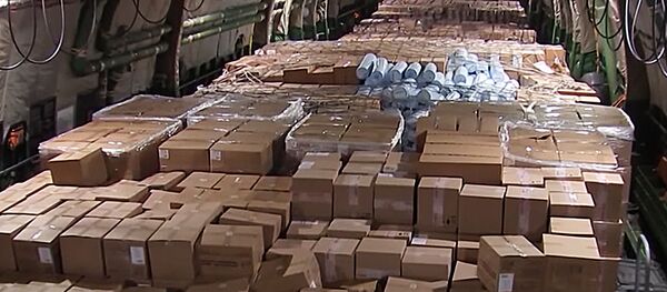 Россия отправила в США самолет с гуманитарной помощью - Sputnik Литва