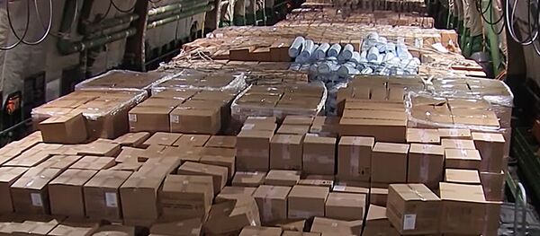 Rusija išsiuntė humanitarinės pagalbos lėktuvą į JAV - Sputnik Lietuva