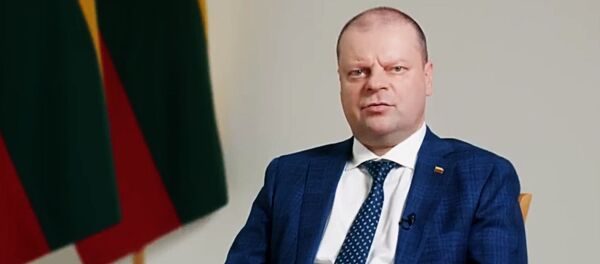 Ministras pirmininkas Saulius Skvernelis kreipėsi į Lietuvos senjorus Ministras pirmininkas Saulius Skvernelis kreipėsi į Lietuvos senjorus - Sputnik Lietuva