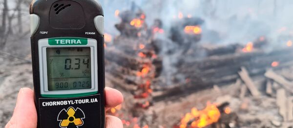 Лесные пожары возле Чернобыльской АЭС, 6 апреля 2020 года - Sputnik Литва