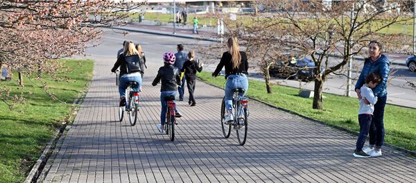 Цветение сакуры в Вильнюсе - Sputnik Lietuva