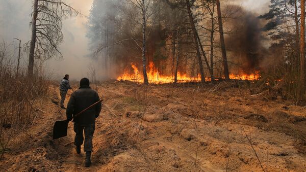 Сотрудники лесничества во время тушения огня в зоне отчуждения Чернобыльской АЭС - Sputnik Литва