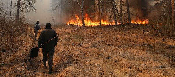 Сотрудники лесничества во время тушения огня в зоне отчуждения Чернобыльской АЭС - Sputnik Литва
