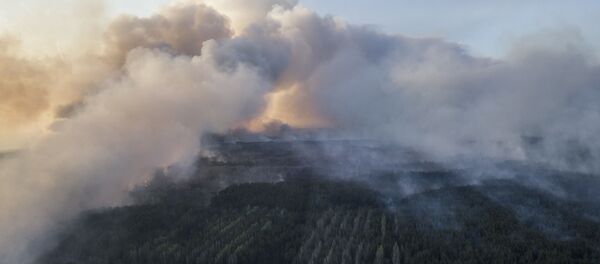 Пожары в зоне отчуждения Чернобыльской АЭС Пожары в зоне отчуждения Чернобыльской АЭС - Sputnik Lietuva