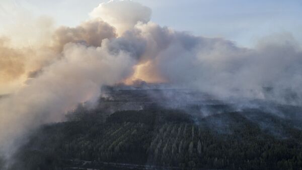 Пожары в зоне отчуждения Чернобыльской АЭС - Sputnik Lietuva