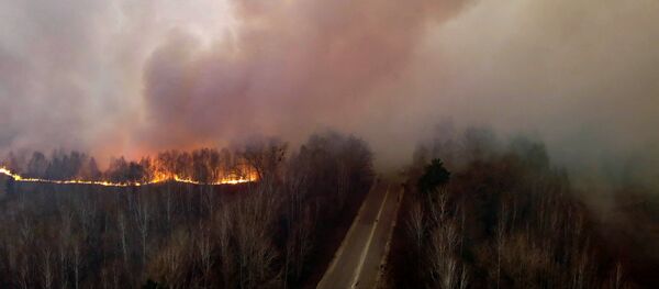 Пожары в зоне отчуждения Чернобыльской АЭС Пожары в зоне отчуждения Чернобыльской АЭС - Sputnik Lietuva