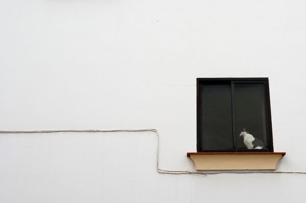 Кошка сидит на окне дома в Испании - Sputnik Lietuva