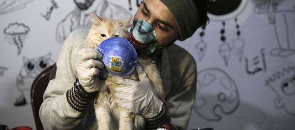 Художник с кошкой в маске в Газе Художник с кошкой в маске в Газе - Sputnik Lietuva