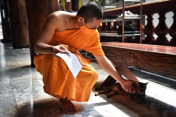 Буддийский монах в защитной маске гладит кошку в храме Ват Пак Нам в Бангкоке, Таиланд - Sputnik Lietuva