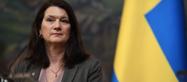 Švedijos užsienio reikalų ministrė Ann Linde Švedijos užsienio reikalų ministrė Ann Linde - Sputnik Lietuva