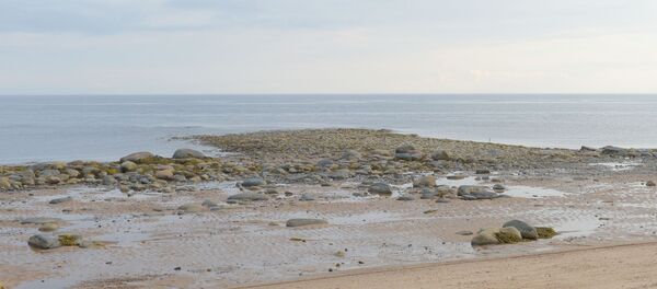 Экспедиция Института экологических проблем севера на Белое море Экспедиция Института экологических проблем севера на Белое море - Sputnik Литва