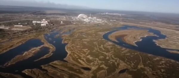 Ukrainos gelbėtojai parodė, kas vyksta Černobylio zonoje - Sputnik Lietuva