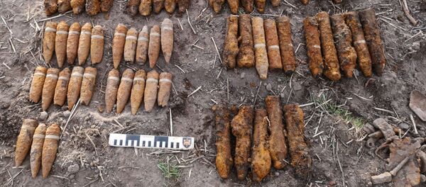 Литовские военнослужащие обезвреживают найденные снаряды Литовские военнослужащие обезвреживают найденные снаряды - Sputnik Литва