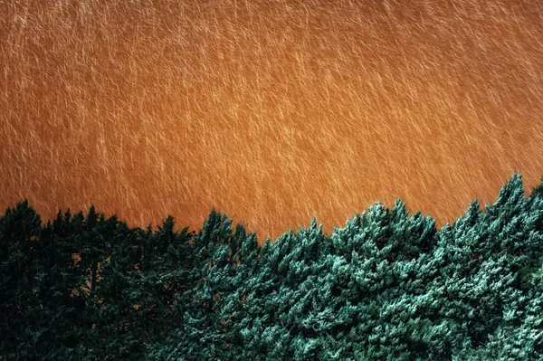 Снимок Night Snowfall итальянского фотографа Marco Minischetti, ставший финалистом в категории Open Landscape фотоконкурса 2020 Sony World Photography Awards Снимок Night Snowfall итальянского фотографа Marco Minischetti, ставший финалистом в категории Open Landscape фотоконкурса 2020 Sony World Photography Awards