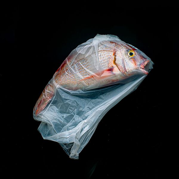 Снимок A Plastic Ocean аргентинского фотографа Jorge Reynal, победивший в категории Open Still Life фотоконкурса 2020 Sony World Photography Awards - Sputnik Lietuva