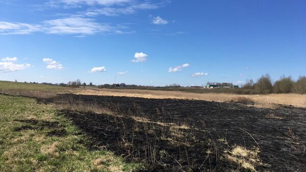 В Игналинском районе на границе с Белоруссией произошел пожар В Игналинском районе на границе с Белоруссией произошел пожар - Sputnik Литва