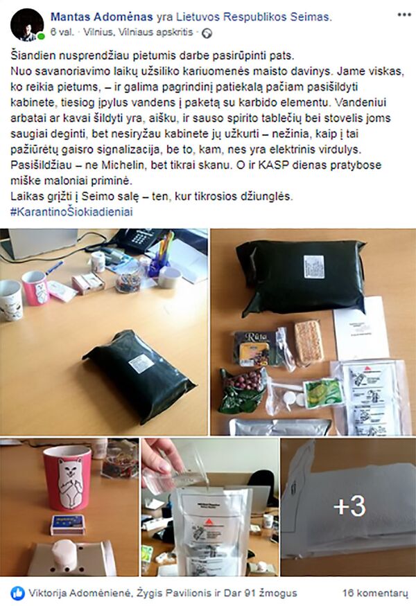 Бабки, сантехника и еда. О чем пишут политики в Литве на карантине Бабки, сантехника и еда. О чем пишут политики в Литве на карантине - Sputnik Литва
