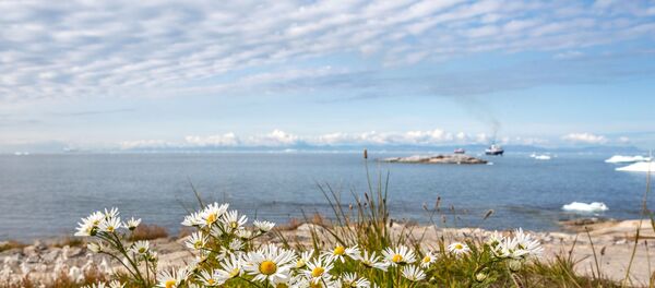 Остров Гренландия - Sputnik Lietuva