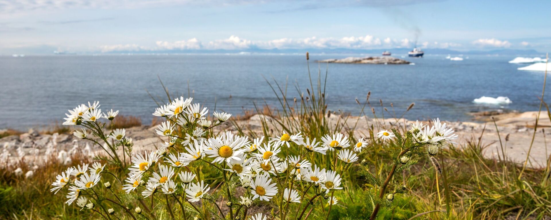 Остров Гренландия, архивное фото - Sputnik Литва, 1920, 11.01.2026