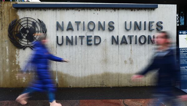 Эмблема Организации Объединённых Наций (ООН), архивное фото  - Sputnik Lietuva