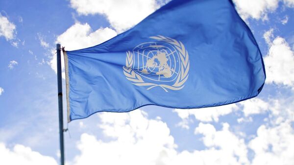 Голубой флаг с эмблемой ООН - Sputnik Литва