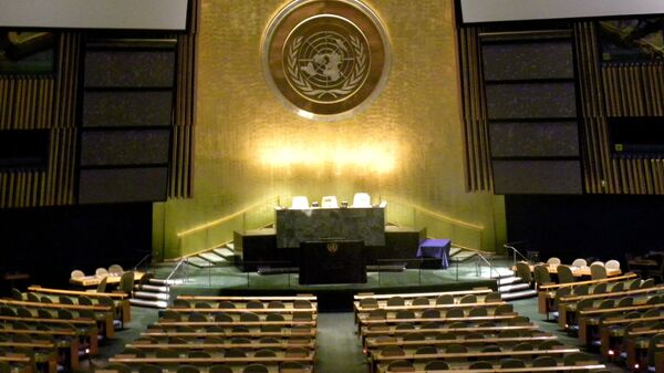 Зал заседаний ООН, архивное фото - Sputnik Lietuva
